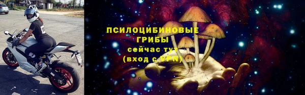 гашик Аркадак