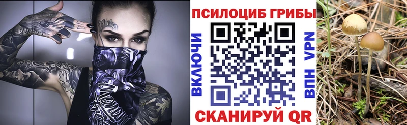 Купить закладки  Невьянск  Галлюциногенные грибы прущие грибы 